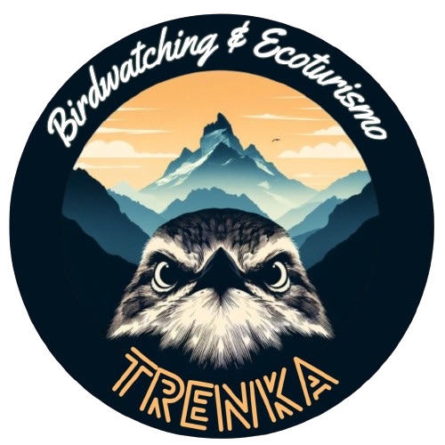 Trenka